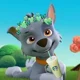 Rocky from PawPatrol