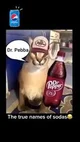 Dr pepper 