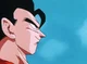Gohan DBZ