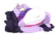 Fat Blaze the cat