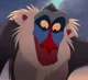 Rafiki