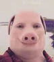 John pork 