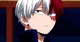 Shoto Todoroki 