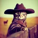 Texas cat