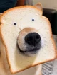 Perro pan