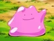 Be a Ditto