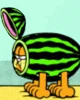 watermelon garfield