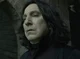 Snape Prince 