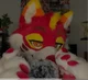 Furry Asmr