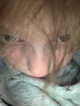 Mee