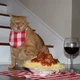 Pastacat48