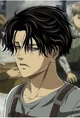 Levi Ackerman 
