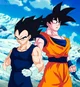 Goku and Vegeta
