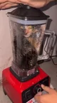 cat in the blender