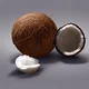 Coconut