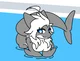Female shork