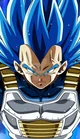 SSBE Vegeta