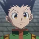 Gon Freecss