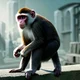 monkey