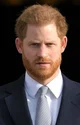 Prince harry