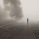the fog