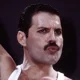 AGC Freddie Mercury