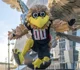 Freddie Falcon