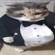 Fat cat in a tuxedo