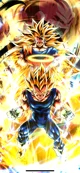 SS3 Goku SS2 Vegeta