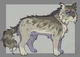 ashfur