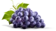 Grape the grapes