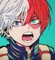 Shoto Todoroki 
