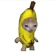 Banana Cat 