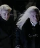 Draco and Lucius 