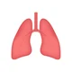 Lungs