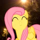 Roommate Fluttershy
