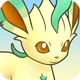 Rescue Team Leafeon
