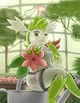 TRR Shaymin