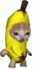 Banana cat
