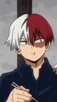 Shoto Todoroki
