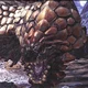 Bazelgeuse