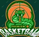 Premium Basketball