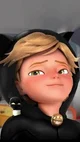 Sus adrien