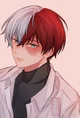 Todoroki Shoto 