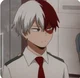 Shoto Todoroki 