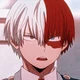 Shoto Todoroki 