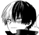 Shoto Todoroki 
