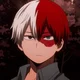 Shoto Todoroki 