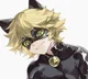 Chatnoir