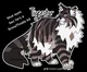 Tigerclaw